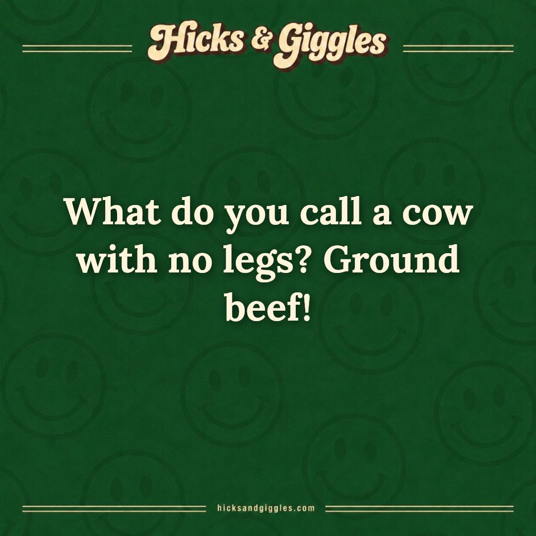 Hicks and Giggles Joke of the Day card: What do you call a cow with no legs? Ground beef!