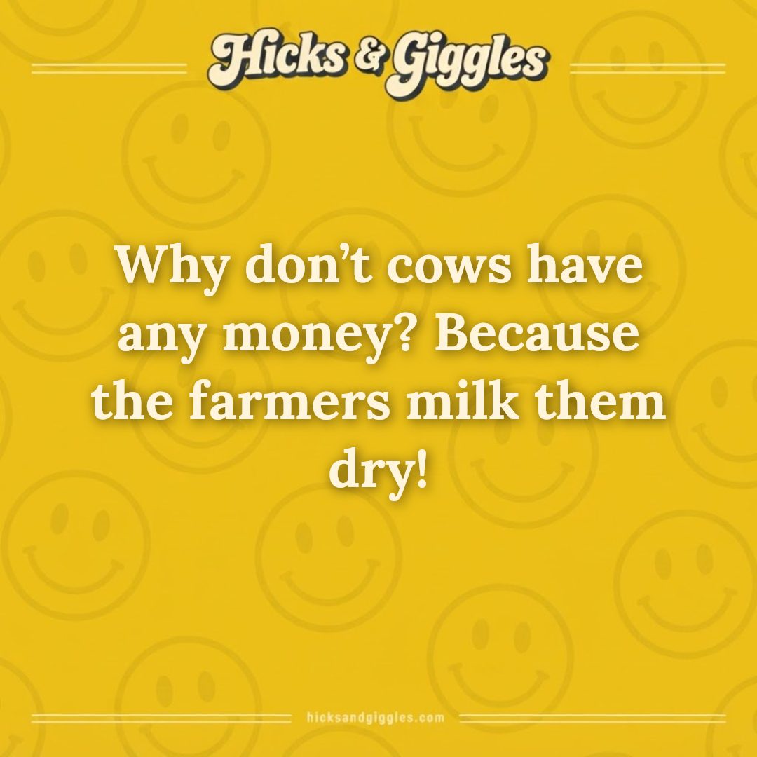 Hicks and Giggles Joke of the Day card: Why don’t cows have any money? Because the farmers milk them dry!