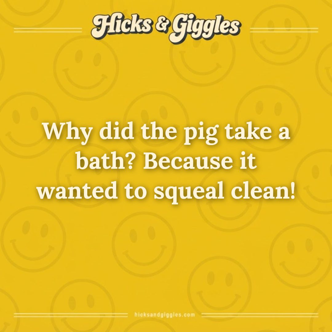 Hicks and Giggles Joke of the Day card: Why did the pig take a bath? Because it wanted to squeal clean!