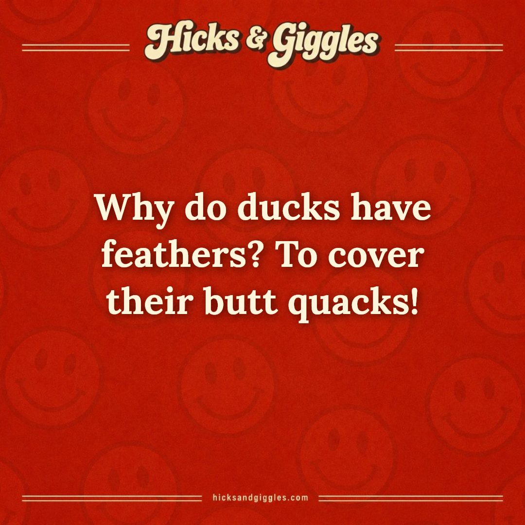 Hicks and Giggles Joke of the Day card: Why do ducks have feathers? To cover their butt quacks!