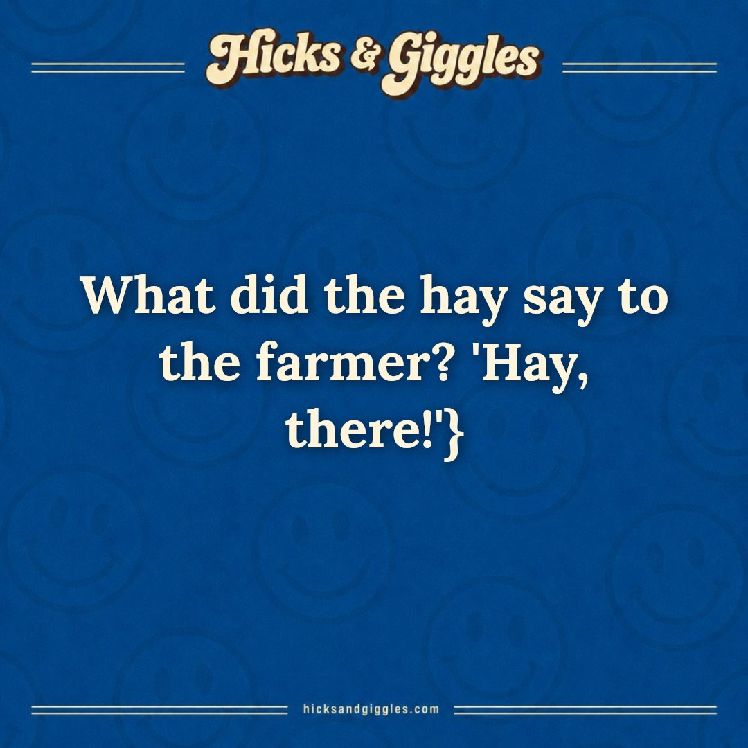 Hicks and Giggles Joke of the Day card: What did the hay say to the farmer? 'Hay, there!'}