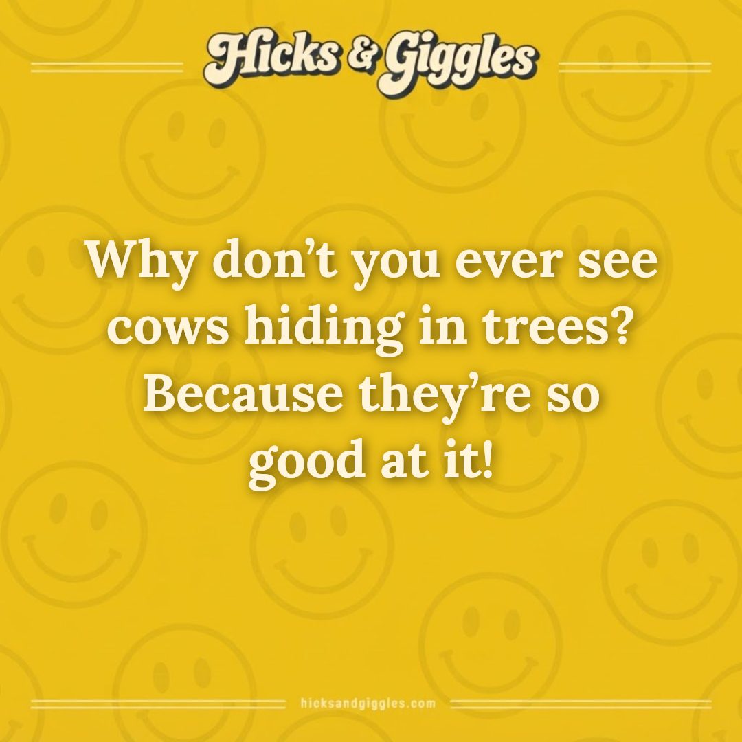 Hicks and Giggles Joke of the Day card: Why don’t you ever see cows hiding in trees? Because they’re so good at it!