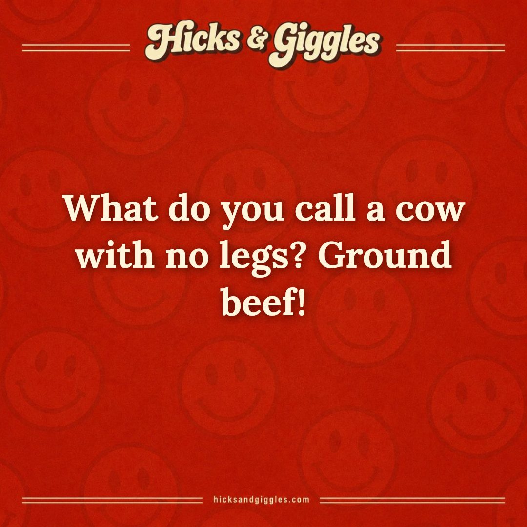 Hicks and Giggles Joke of the Day card: What do you call a cow with no legs? Ground beef!