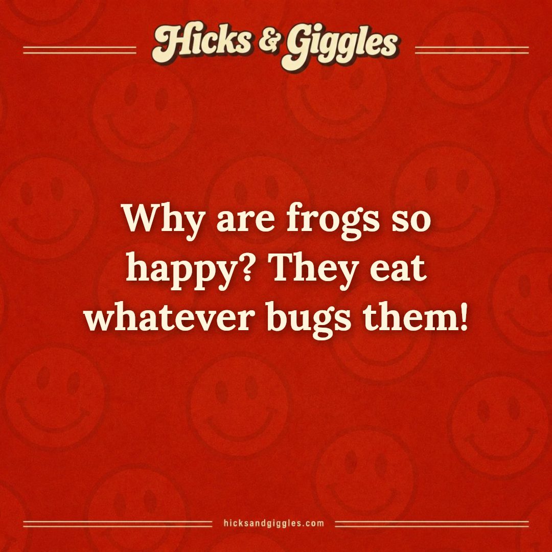 Hicks and Giggles Joke of the Day card: Why are frogs so happy? They eat whatever bugs them!