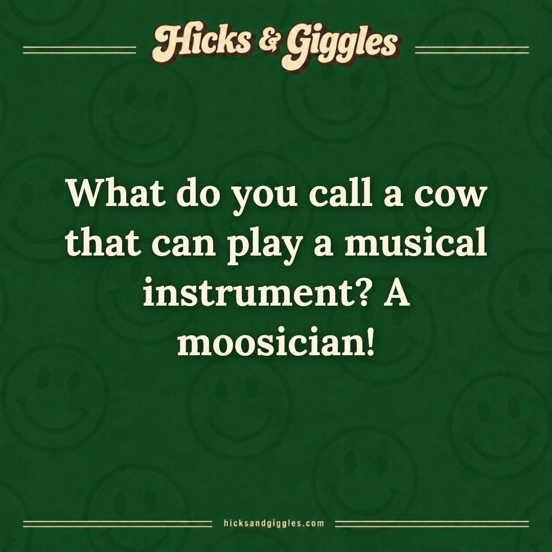 Hicks and Giggles Joke of the Day card: What do you call a cow that can play a musical instrument? A moosician!