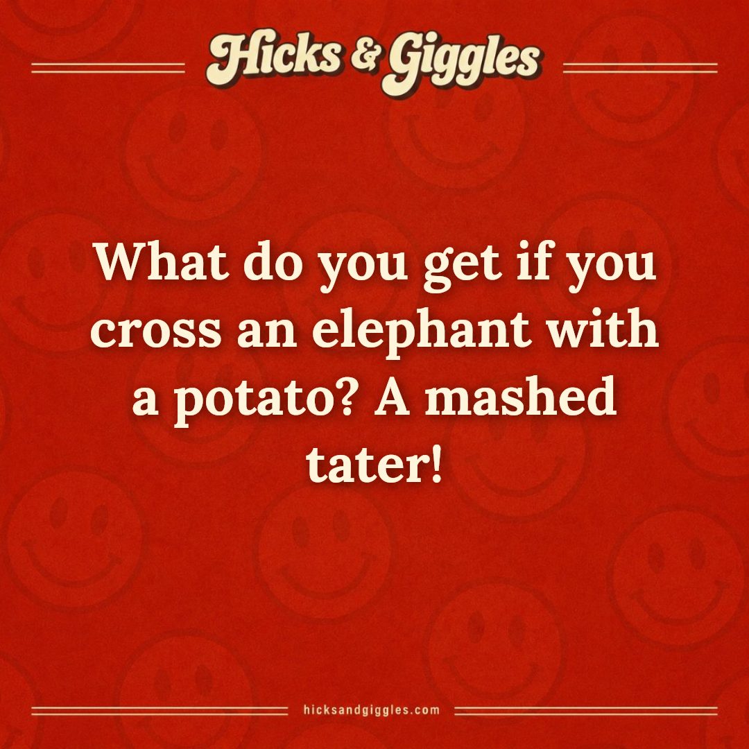 Hicks and Giggles Joke of the Day card: What do you get if you cross an elephant with a potato? A mashed tater!
