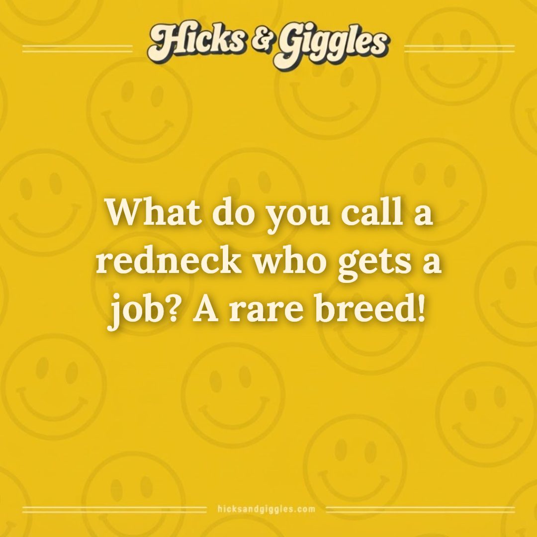 Hicks and Giggles Joke of the Day card: What do you call a redneck who gets a job? A rare breed!
