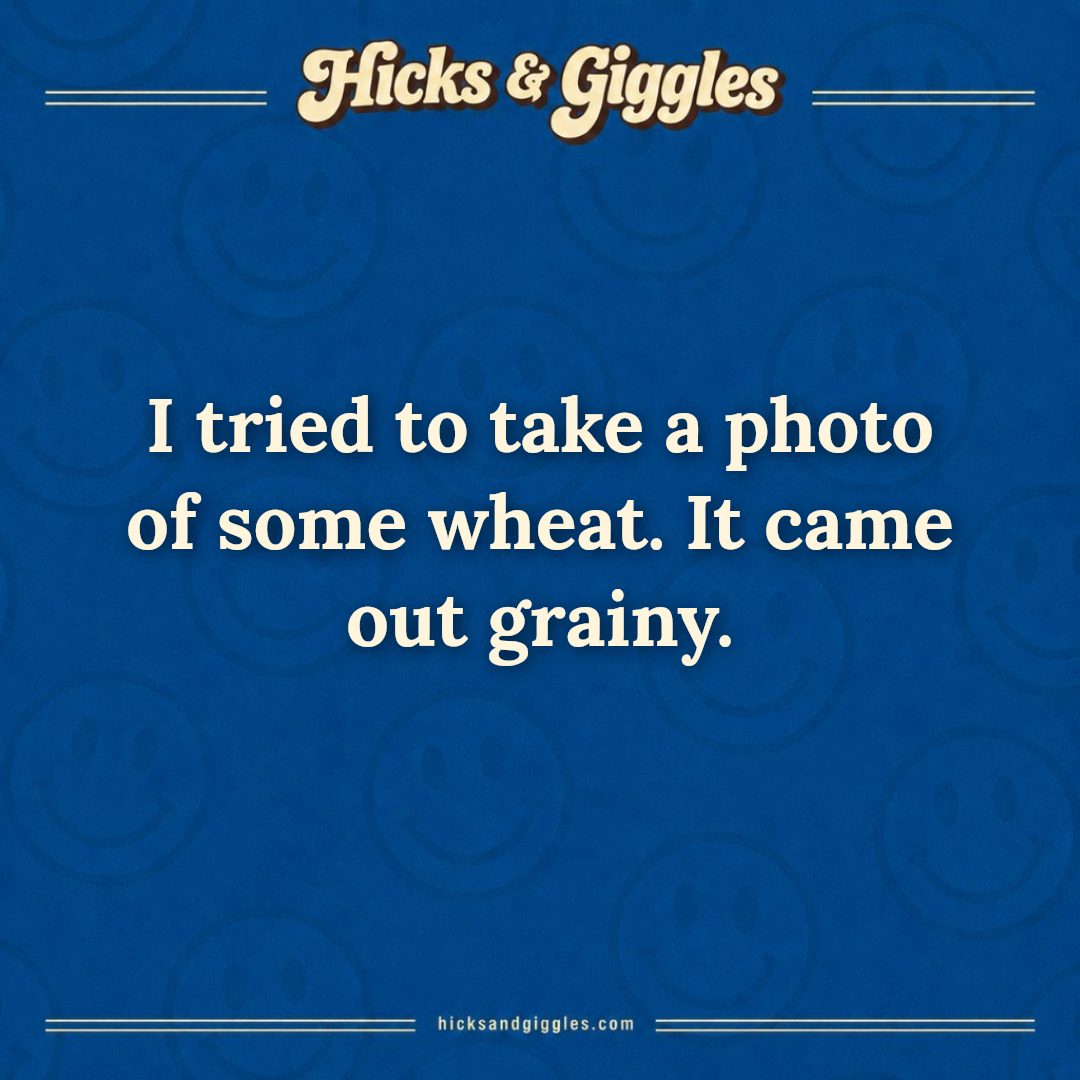 Hicks and Giggles Joke of the Day card: I tried to take a photo of some wheat. It came out grainy.