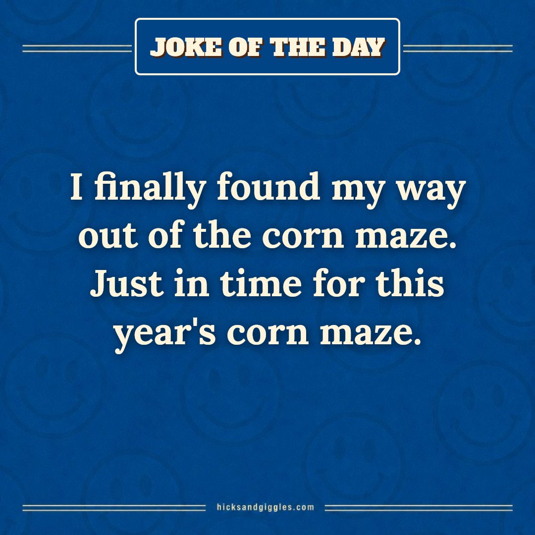 Hicks and Giggles Joke of the Day card: I finally found my way out of the corn maze. Just in time for this year's corn maze.
