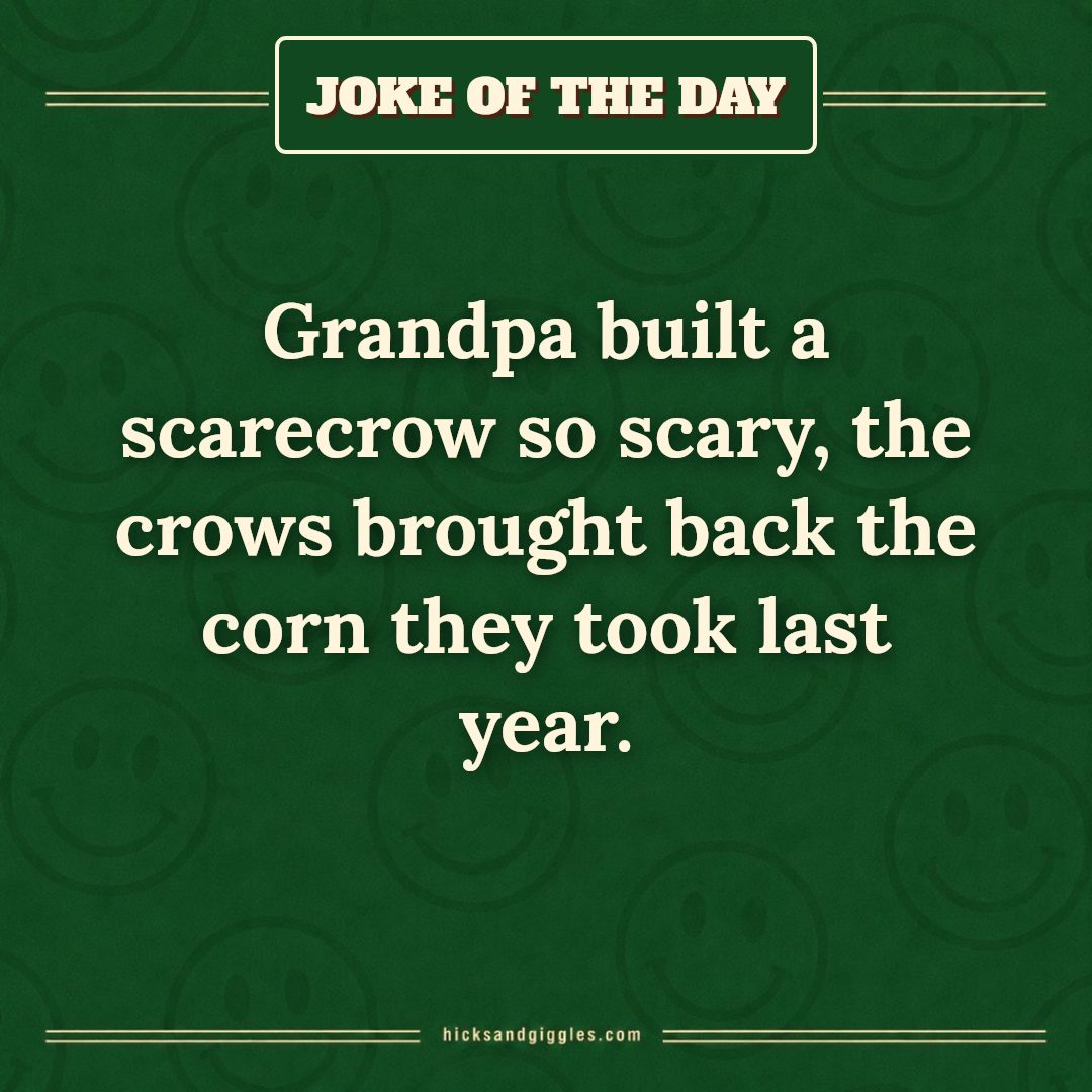 Hicks and Giggles Joke of the Day card: Grandpa built a scarecrow so scary, the crows brought back the corn they took last year.